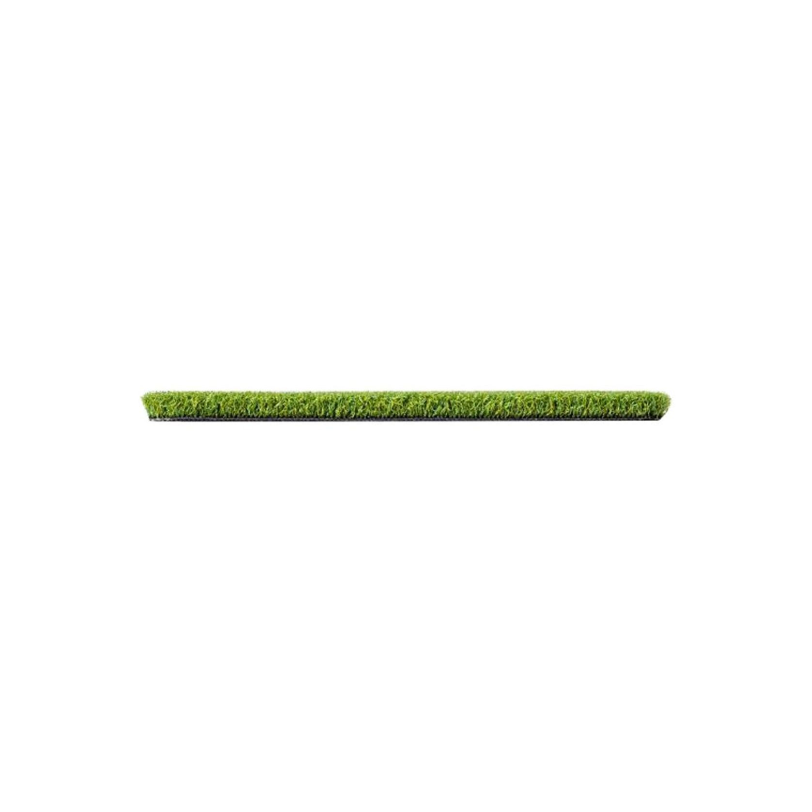 Pro Putt 16 - Artificial Grass gallery detail image