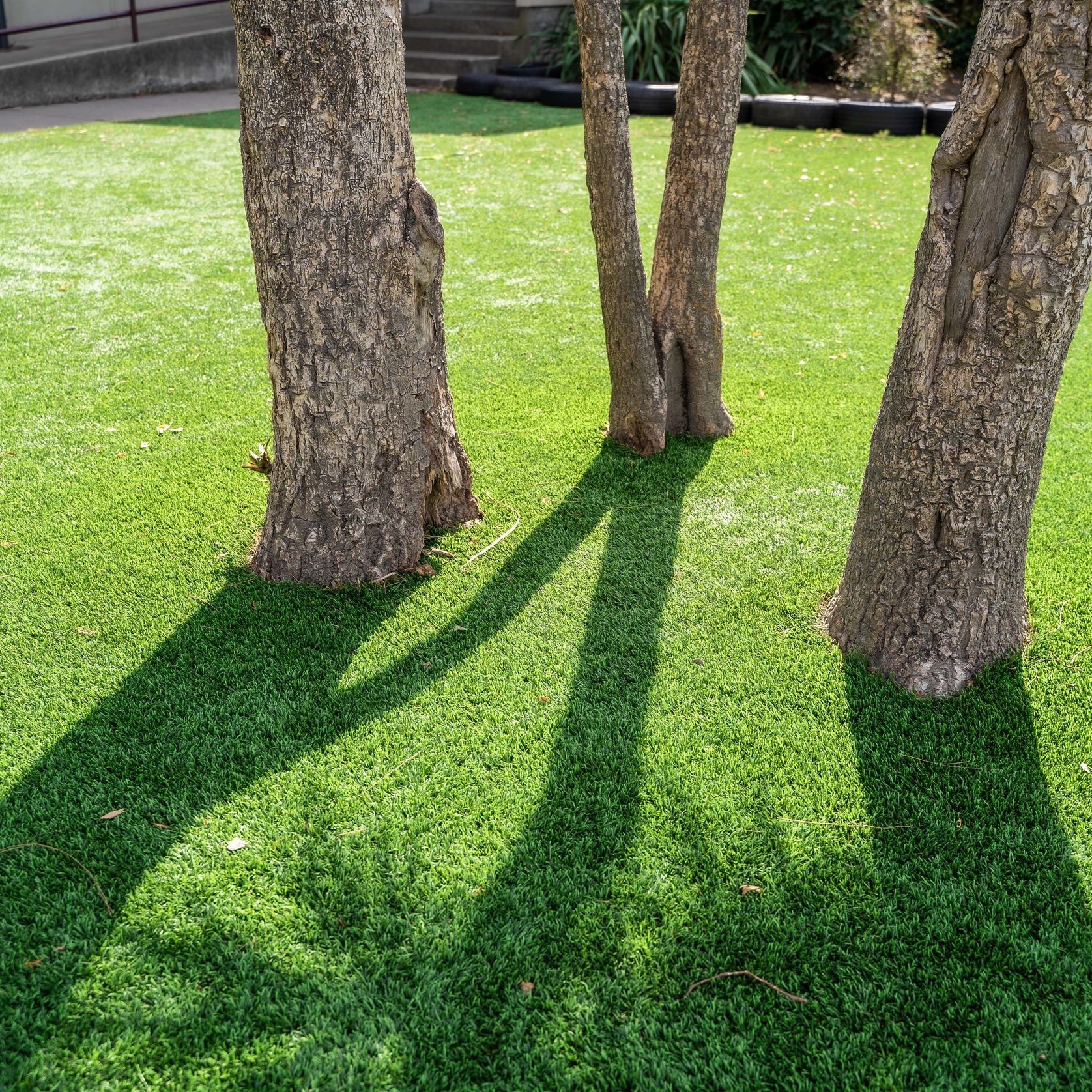 Schools Artificial Turf | Landscaping Grass by SmartGrass gallery detail image