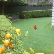Artificial Golf Turf Synlawn USA Precision Putt gallery detail image