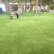 CHILDCARE & PLAYGROUND Surfaces gallery detail image