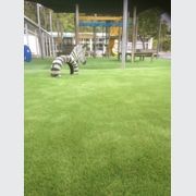 Childcare Playground Surfaces (Synlawn) gallery detail image