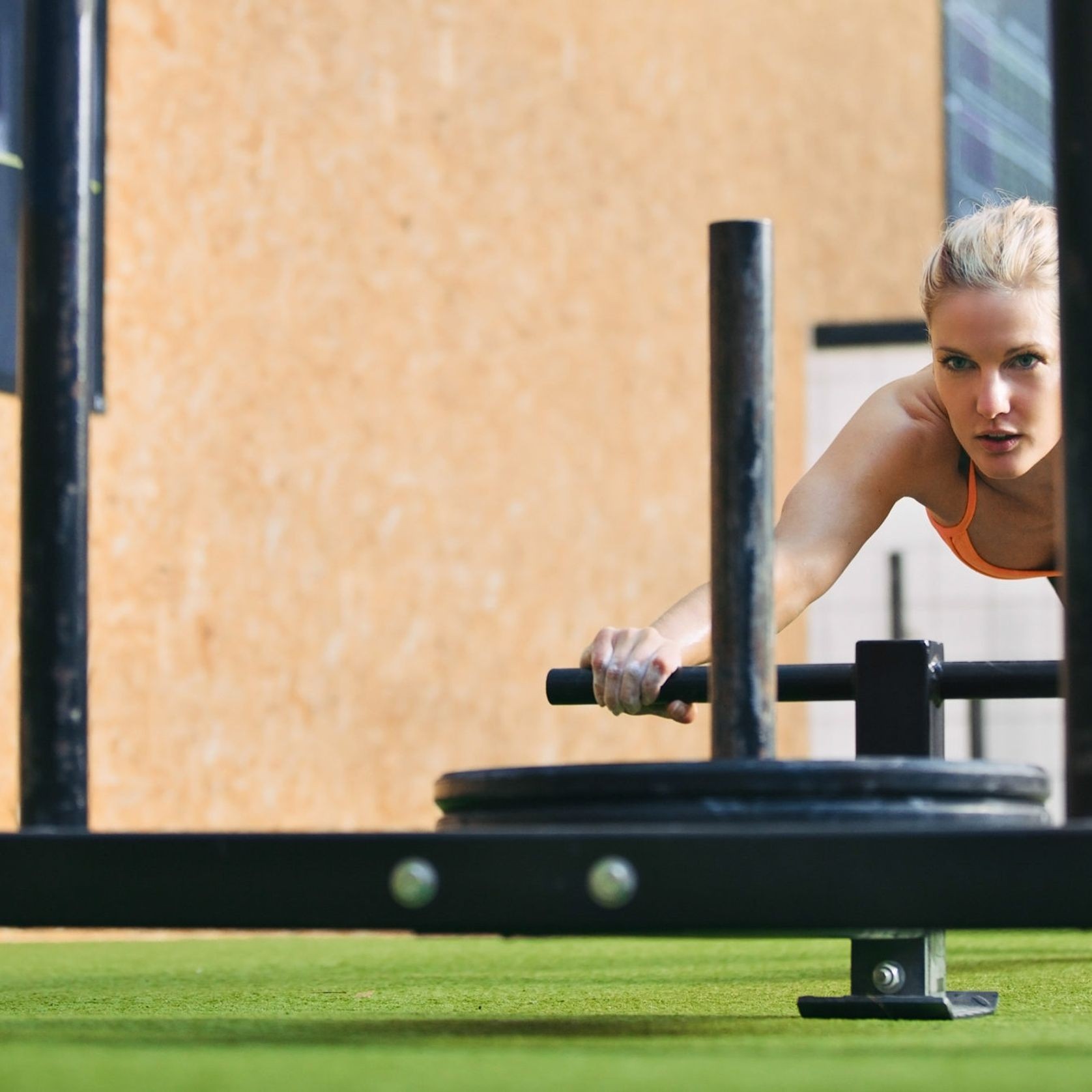 Advantage Artificial Grass gallery detail image