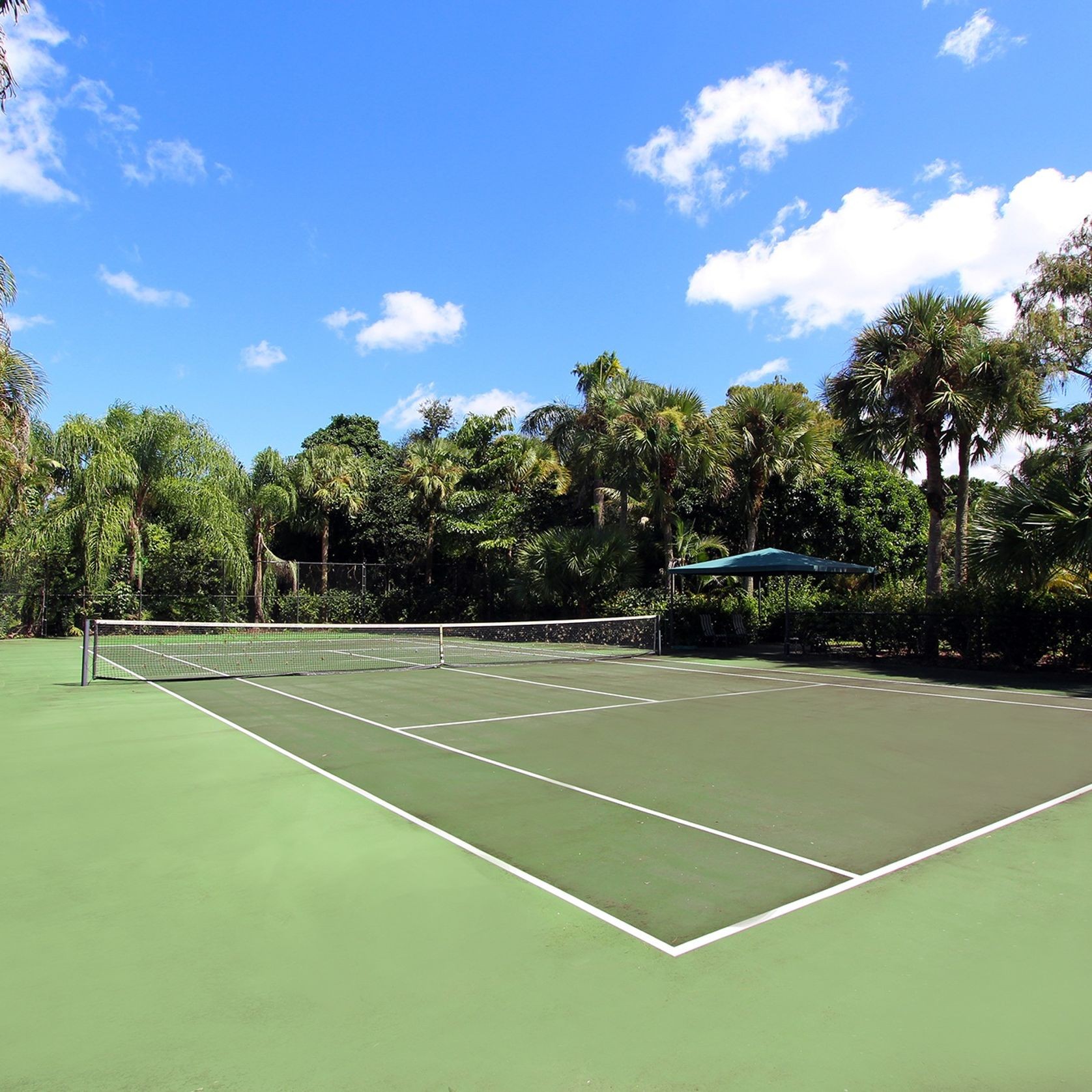 Tennis Artificial Turf | Sports Grass by SmartGrass gallery detail image