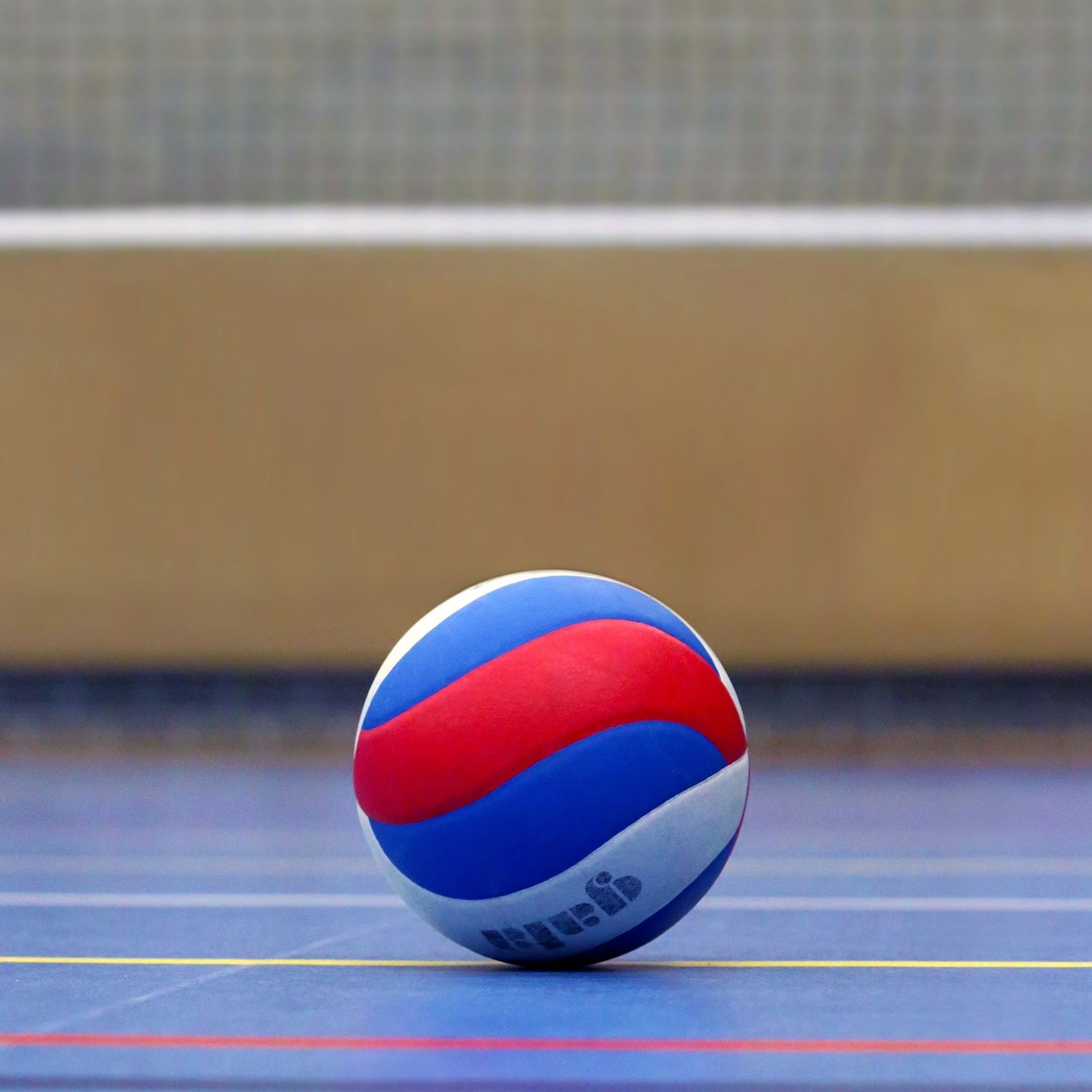 Volleyball Artificial Turf | Sports Grass by SmartGrass gallery detail image