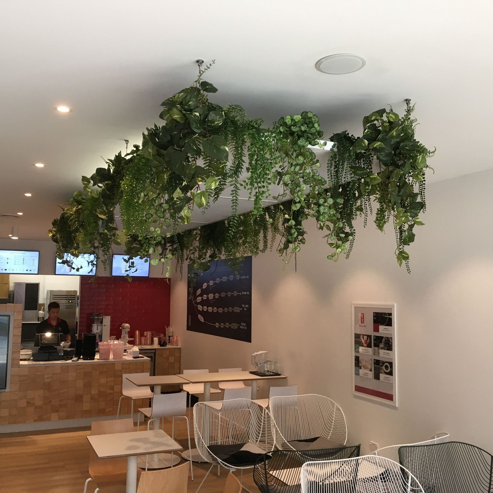 Artificial Plant Solutions | Hire Plants gallery detail image