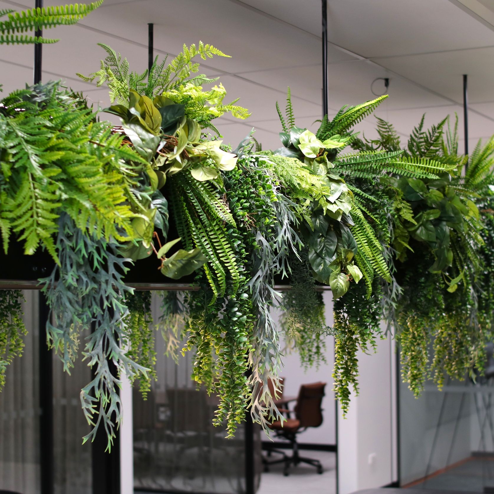 Artificial Plant Solutions | Hire Plants gallery detail image
