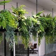 Artificial Plant Solutions | Hire Plants gallery detail image