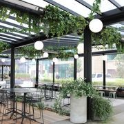 Artificial Plant Solutions | Hire Plants gallery detail image