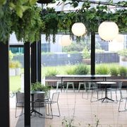 Artificial Plant Solutions | Hire Plants gallery detail image