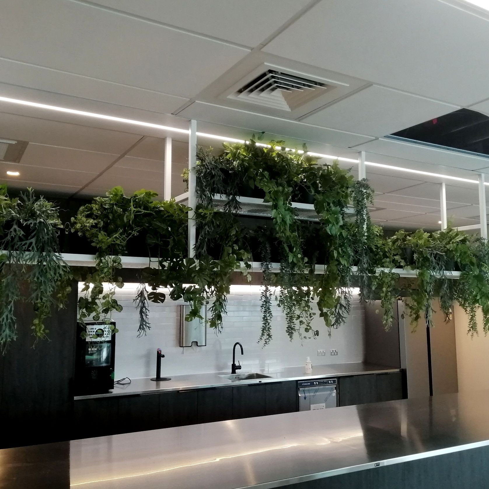 Artificial Plant Solutions | Hire Plants gallery detail image