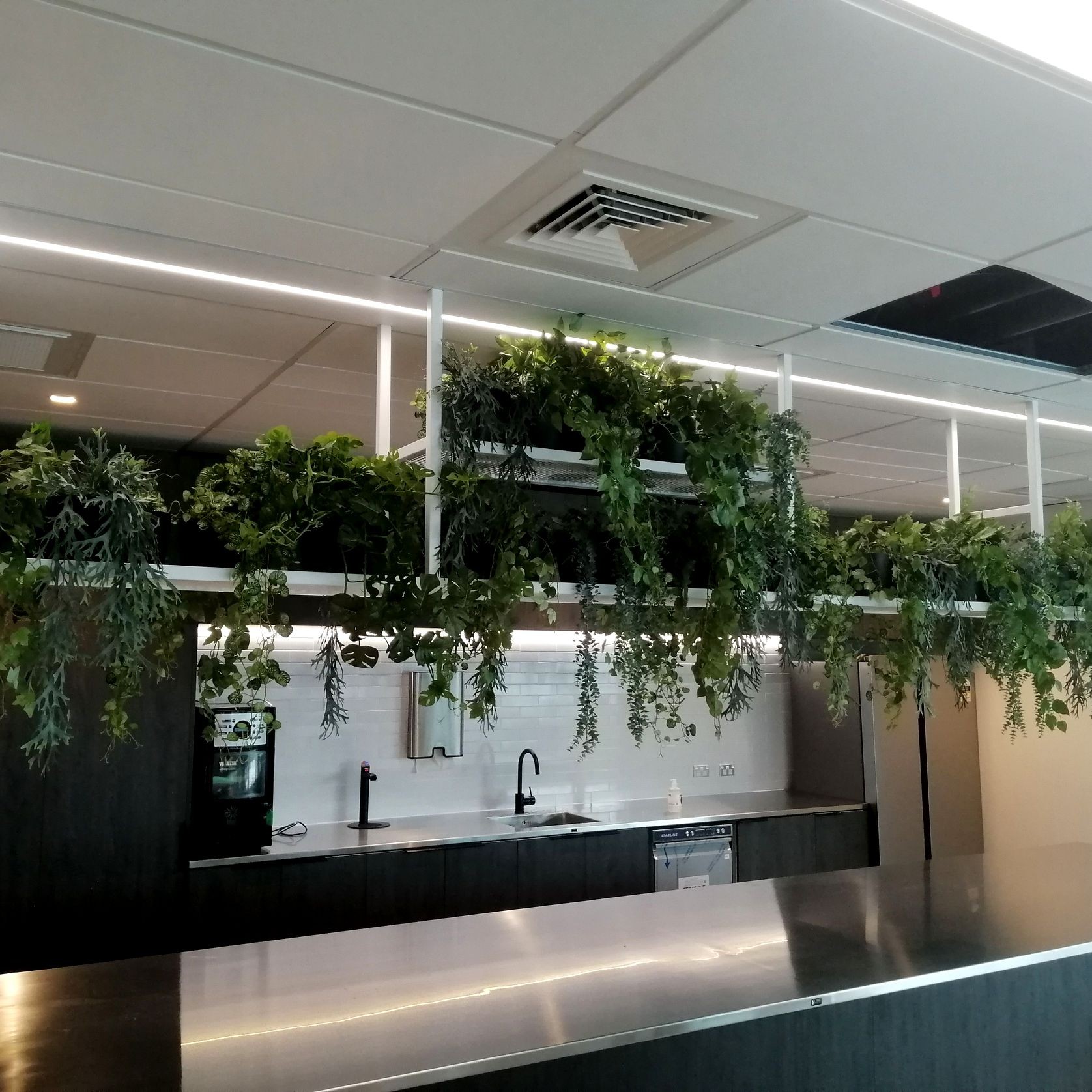 Artificial Plant Solutions gallery detail image