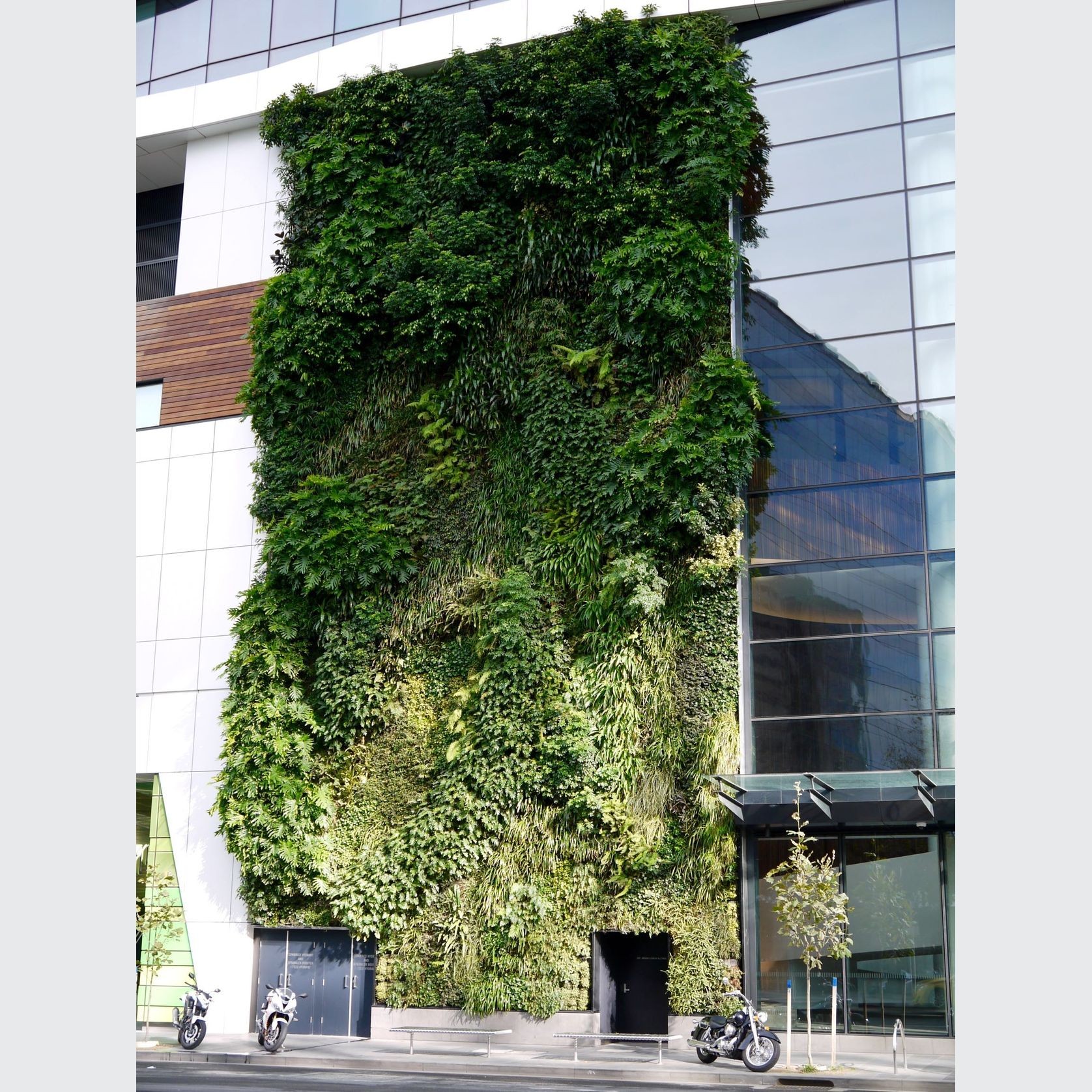 SRS Vertical Garden gallery detail image