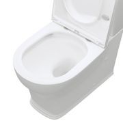 Lillian Tornado Flush Back-to-Wall Toilet Suite gallery detail image
