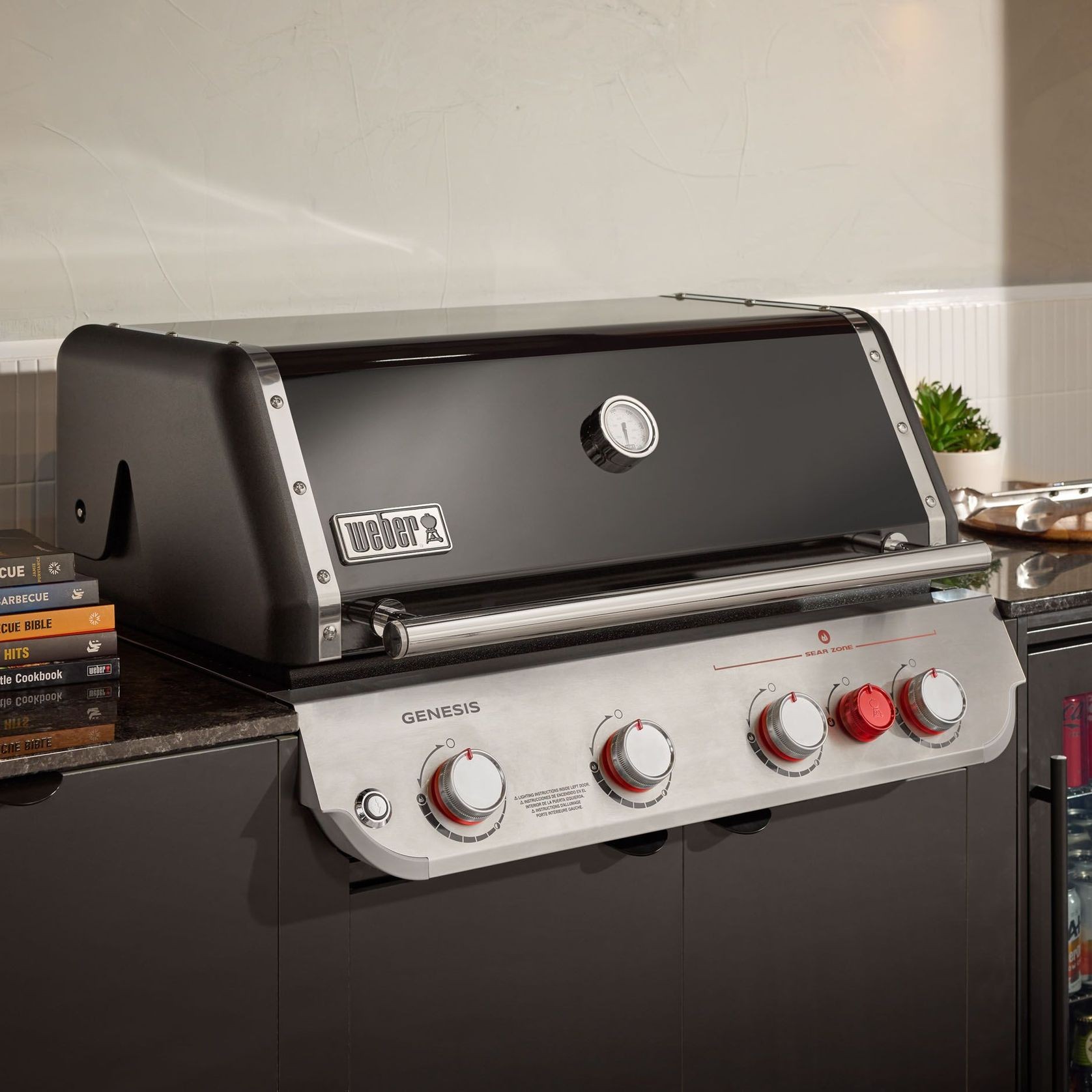 Weber Genesis Built-in Barbecues gallery detail image