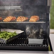Weber Summit FS38 Black NG gallery detail image