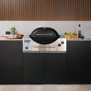 Weber® Built-in Q®+ Barbecues gallery detail image