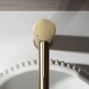 Mira Brushed Brass Gold Tall Basin Mixer gallery detail image