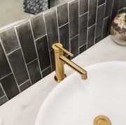 Caddence Basin Mixer Brushed Brass gallery detail image