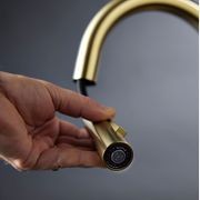 Uno Goose Neck Kitchen Mixer With Pull Out Spray gallery detail image