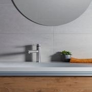Tūroa Basin Mixer (Stainless Steel) gallery detail image