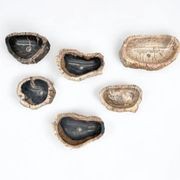 Petrified Wood Basins gallery detail image