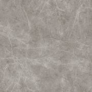 Light Grey gallery detail image