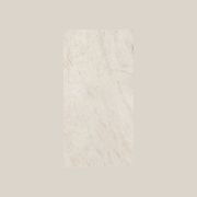 Taj Mahal gallery detail image