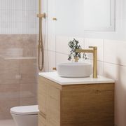Sansa Tall Basin Mixer gallery detail image