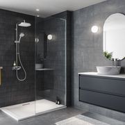 Flight Tray & Evora Shower Screen gallery detail image