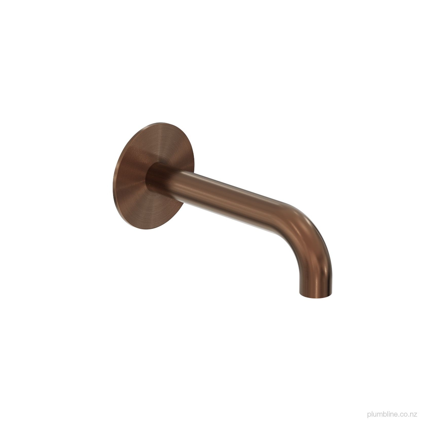 Oli 316 Wall Mount Spout 150mm gallery detail image