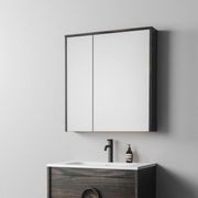 Frame Mirror Cabinets gallery detail image