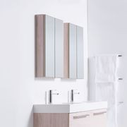 Mirror Cabinet 600 – 2 Doors, 2 Shelves gallery detail image