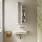 Arch LED Mirror Cabinet gallery detail image
