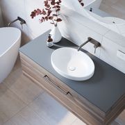 Ivy 50 Vanity with benchtop gallery detail image