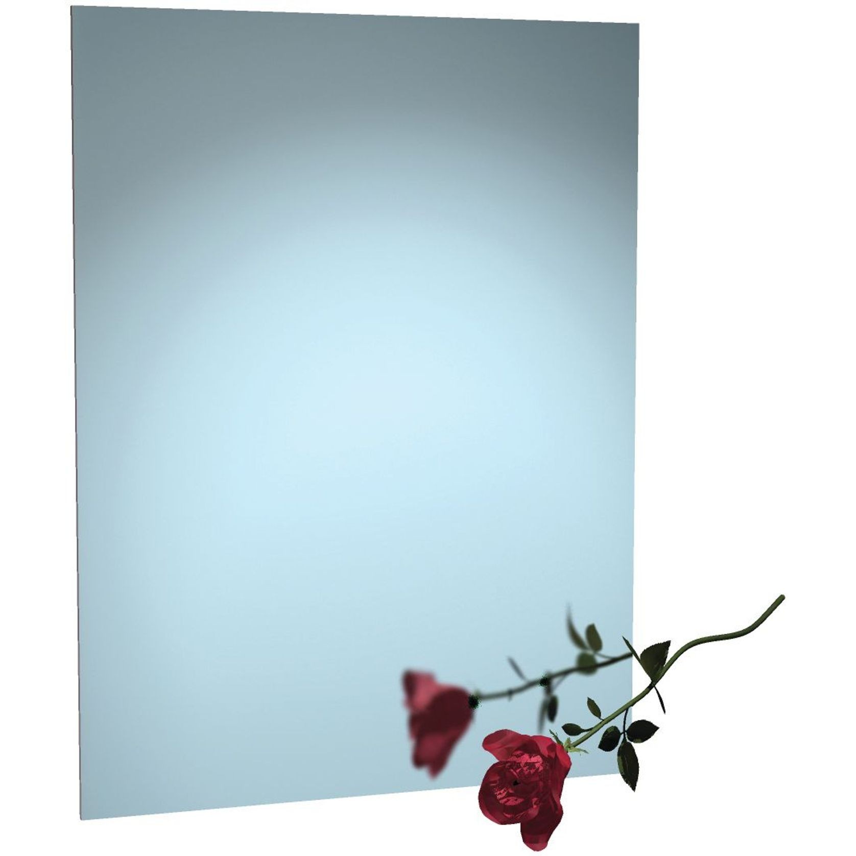 Stainless Steel Framed Mirror gallery detail image