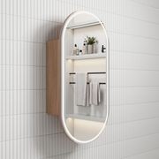 Aulic Beau Monde LED Shaving Cabinet gallery detail image