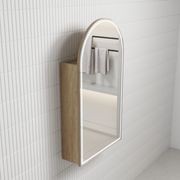 Aulic Canterbury LED Shaving Cabinet gallery detail image