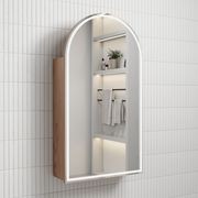 Aulic Canterbury LED Shaving Cabinet gallery detail image