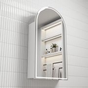Aulic Canterbury LED Shaving Cabinet gallery detail image