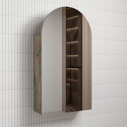 Aulic Canterbury Shaving Cabinet gallery detail image