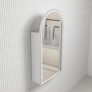 Aulic Canterbury LED Shaving Cabinet gallery detail image