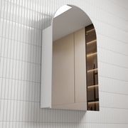Aulic Canterbury Shaving Cabinet gallery detail image