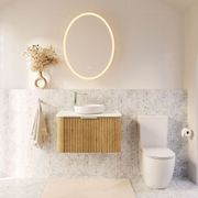 Antonia Oval LED Mirror gallery detail image