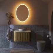 Antonia Oval LED Mirror gallery detail image