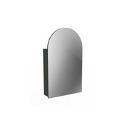 Serenity Figura Arch Mirror Cabinet gallery detail image