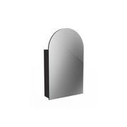 Serenity Figura Arch Mirror Cabinet gallery detail image