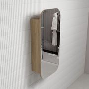 Aulic Vienna Shaving Cabinet gallery detail image