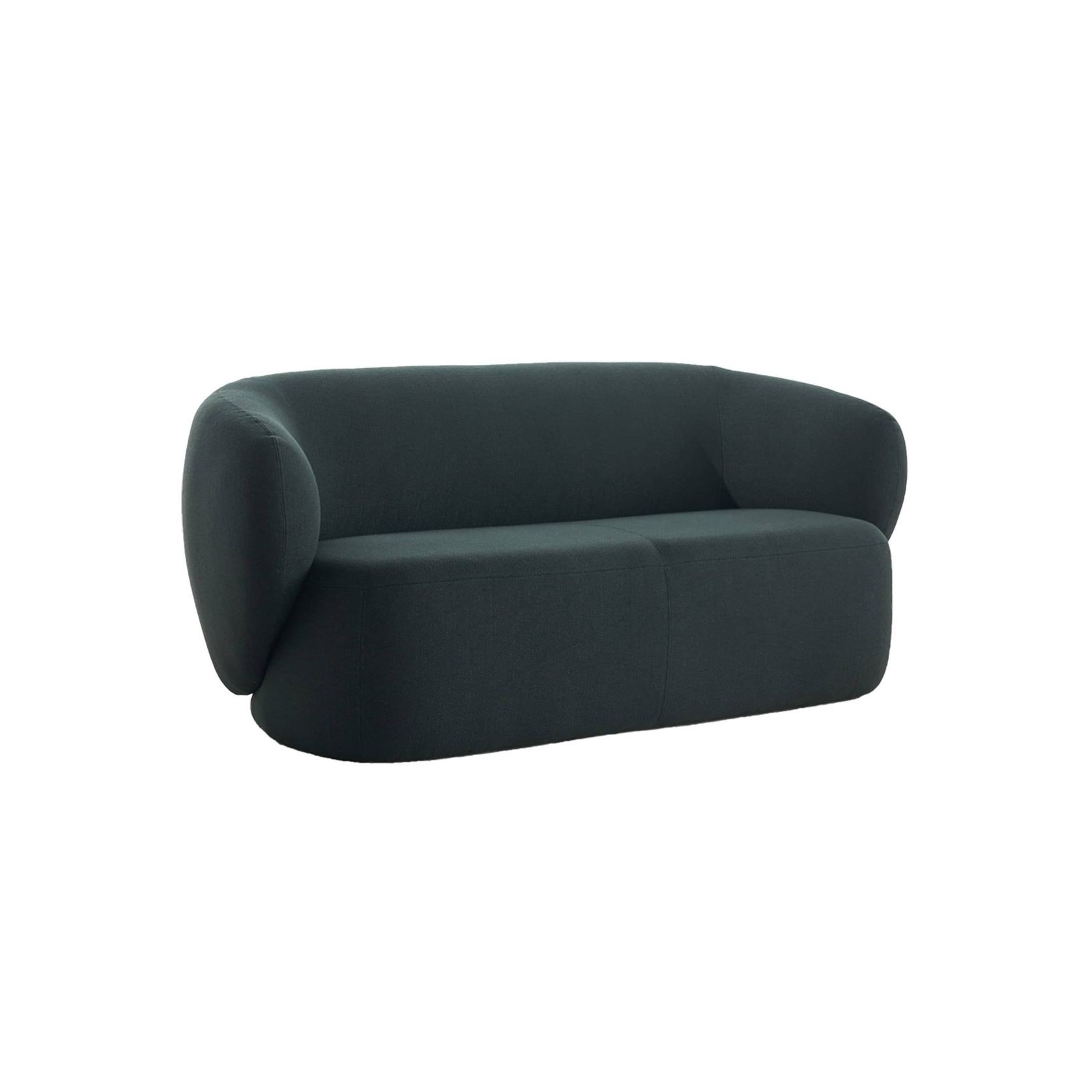 Swell 2 Seater Sofa gallery detail image