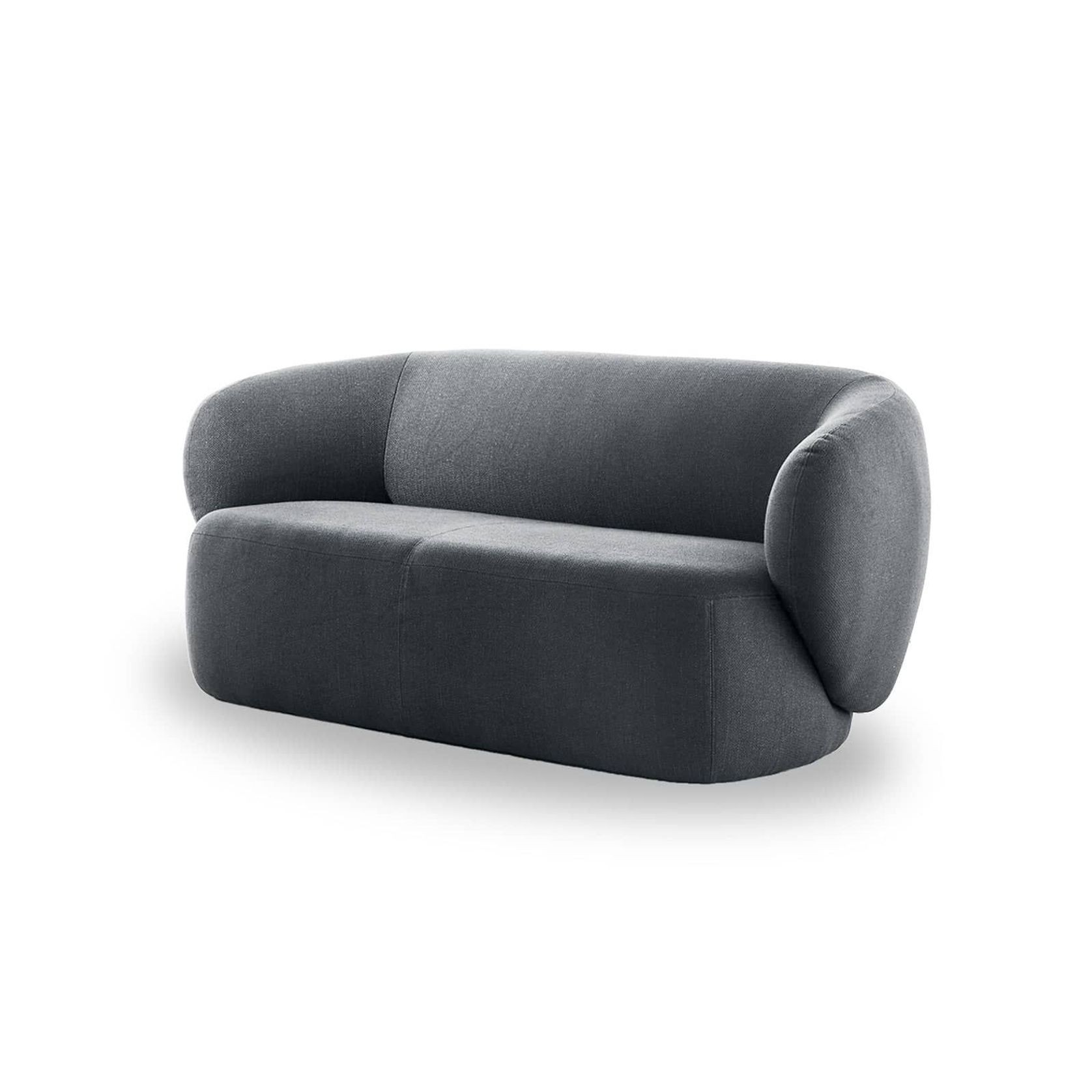 Swell 2 Seater Sofa gallery detail image