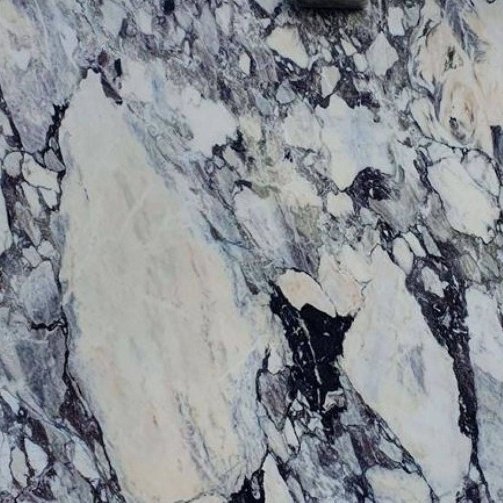 Calacatta Viola - Platinum Marble gallery detail image